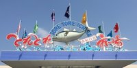 海の幸のパラダイス！「とれとれ市場南紀白浜」の魅力を徹底解剖