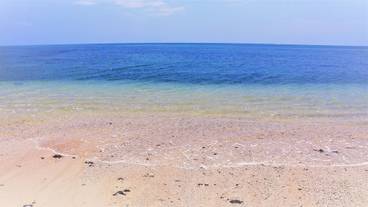 施設からの眺望 / 10