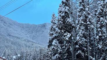 スノー スポーツとスキー / 1