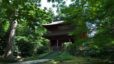 観光スポット / 9