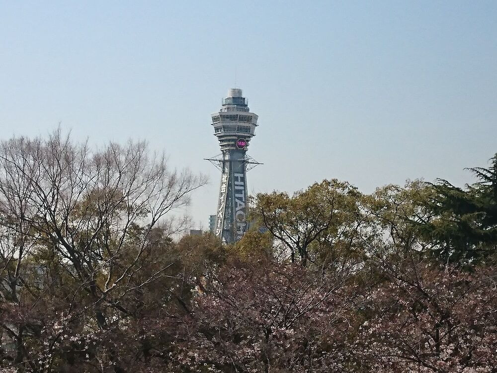 施設からの眺望