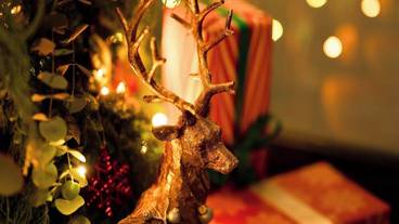 施設の正面 / 14