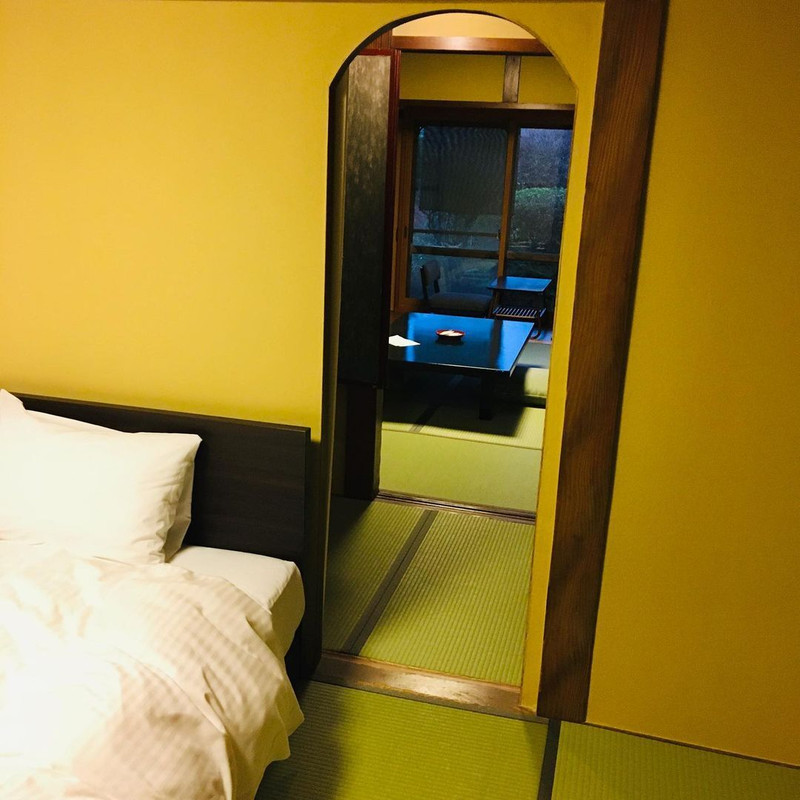 satoyagiiiiiiiiiiiiiiiiさんの写真 / 2