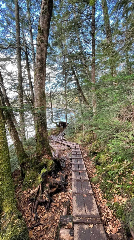 北八ヶ岳の美しい天然湖「白駒池」。国道299号(メルヘン街道)沿いの駐車場から、徒歩15分程度で辿り着くことができる / 1