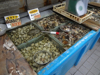 「焼蛤 浜茶屋 向島」内観 1166879 