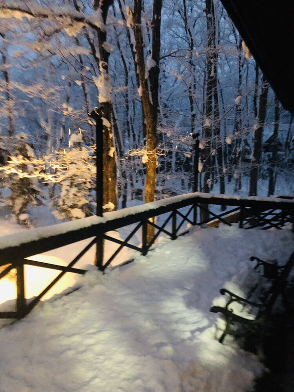 テラス / パティオ