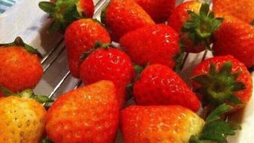 食事・飲み物 / 3