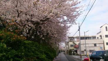 施設からの眺望 / 23