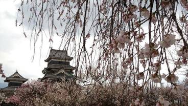 施設の敷地 / 10