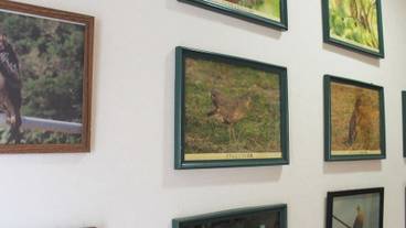 施設内の設備 / 5