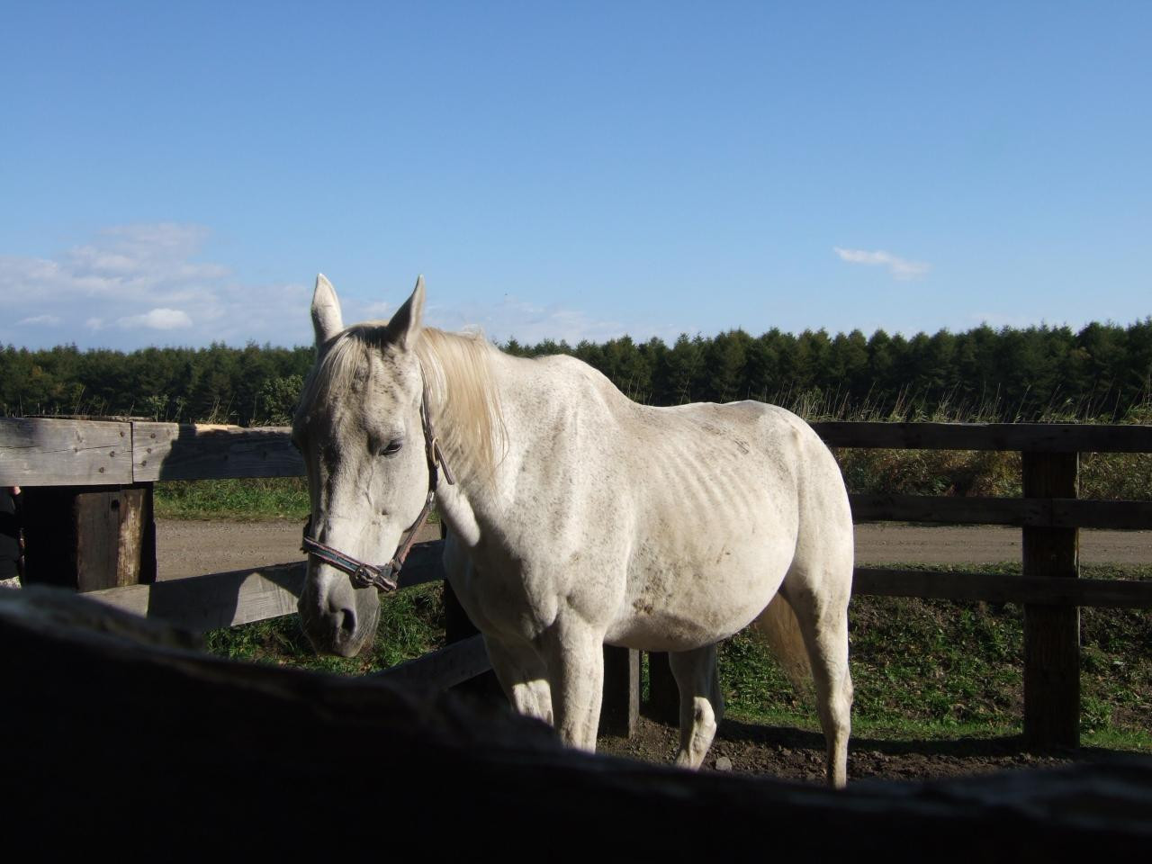 広大な敷地に、ホテル棟やレストラン、農園、馬場が点在しています3695797