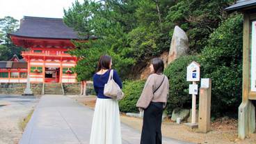 ランド ビュー / 15