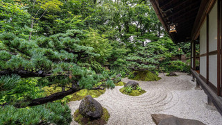 Suite "Matsukaze", Non-smoking
