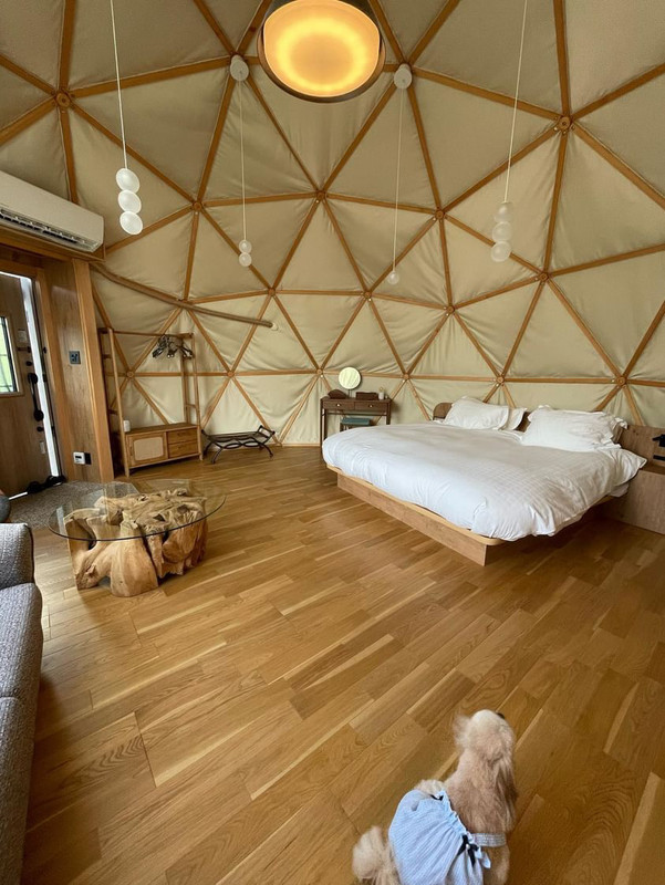 doro.cottonさんの写真 / 1