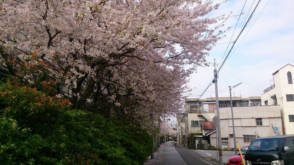 施設からの眺望