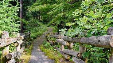施設からの眺望 / 35