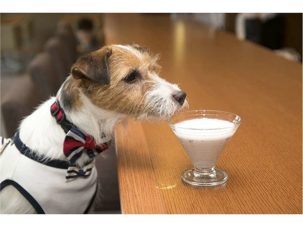 カフェ・バー①