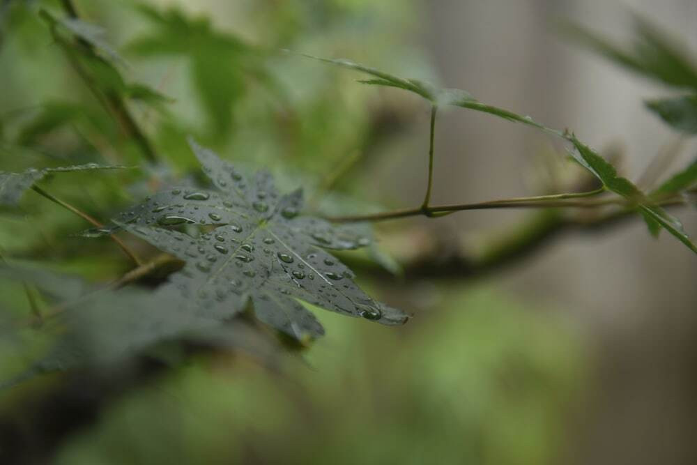 施設からの眺望