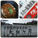 大台ヶ原物産店 楓（オオダイガハラヤマブッサンテンカエデ）