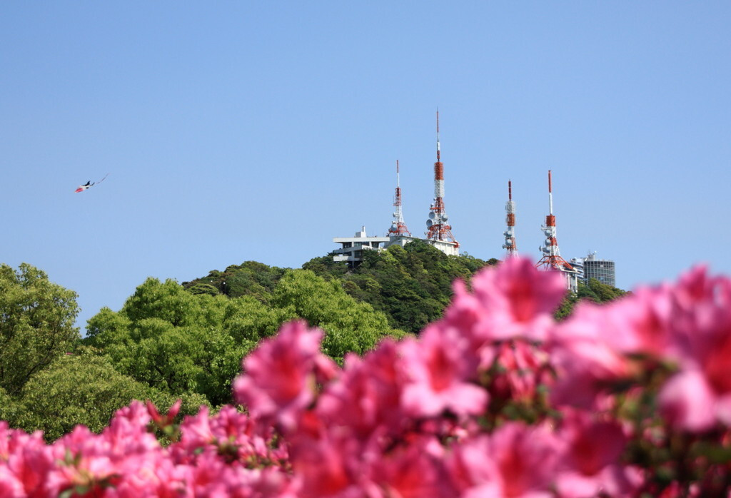 いかがでしたか？長崎は見どころがたくさん！903791