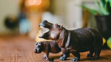 内装の詳細 / 16