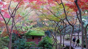 観光スポット / 5