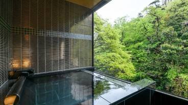 特別室 露天風呂 / 9