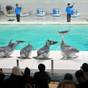 【夕朝食付】小樽水族館☆入場チケット付ファミリープラン | 小樽朝里川温泉 ホテル武蔵亭