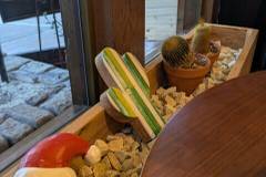 pagot 山側店(本店)