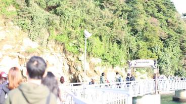 観光スポット / 4