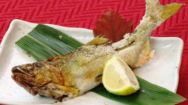 食事・飲み物 / 18