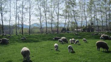 施設の敷地 / 17