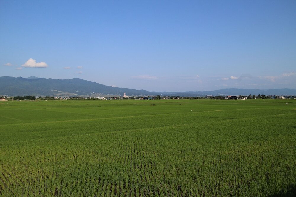 マウンテン ビュー