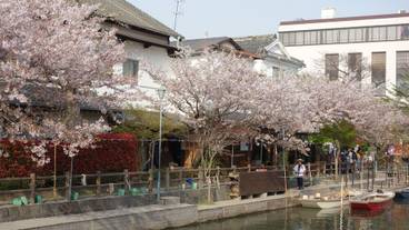 施設からの眺望 / 11