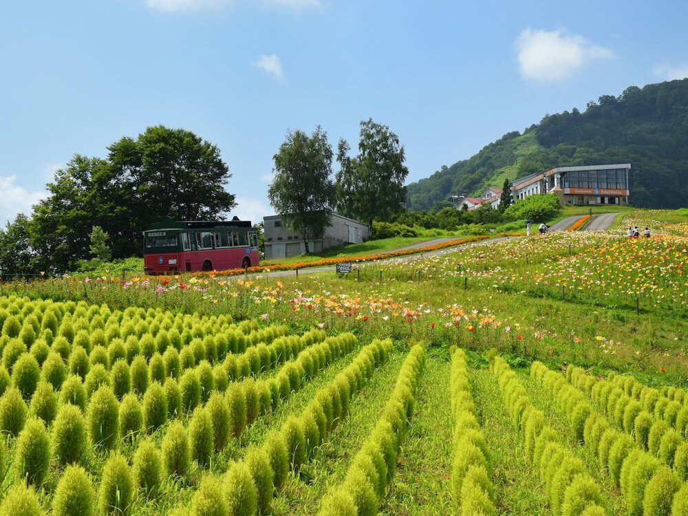 マウンテン ビュー