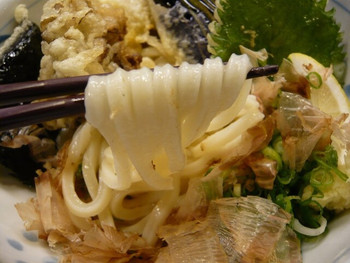 「饂飩工房 うばら」料理 1201334 野菜天ぶっかけ（麺持ち上げ）