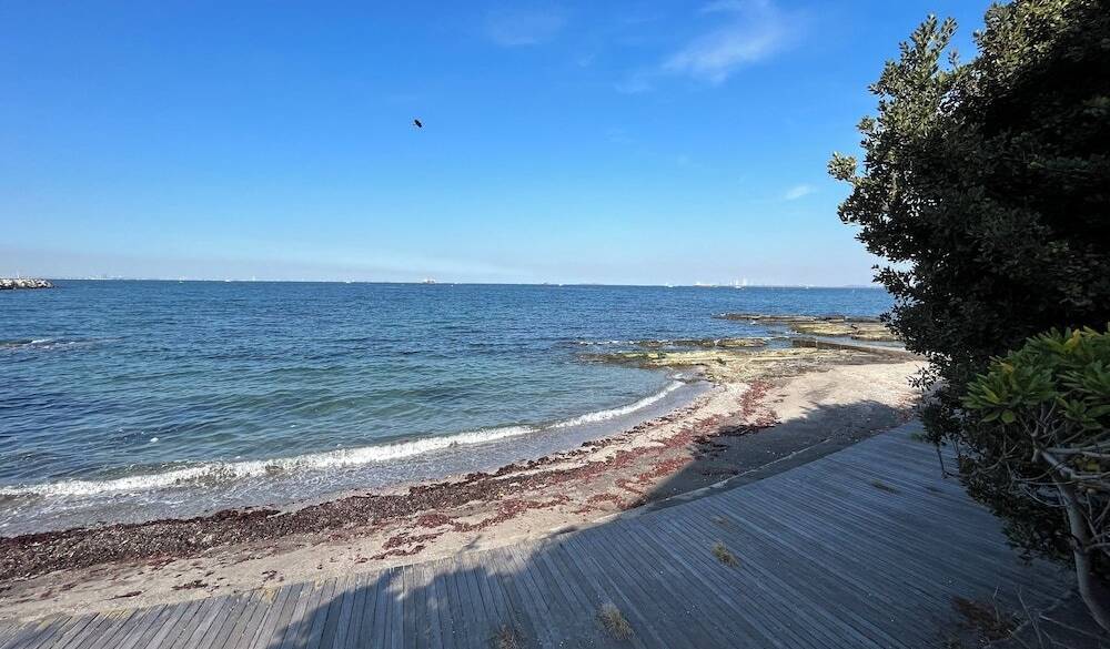 ボードウォーク / 3