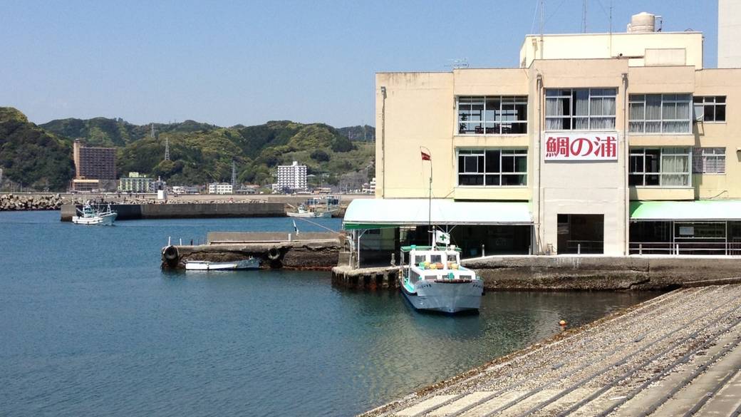 「鯛の浦遊覧船」で
“神秘の鯛”に出合う / 2