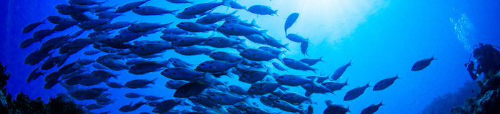 ホテル代を節約して奄美大島観光♪安くてコスパ良好+αのあるお宿7選