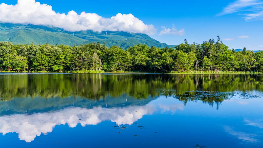 知床五湖の風景 / 1