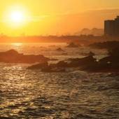 房総白浜ウミサトホテル（旧：紀州鉄道 房総白浜ホテル）（千葉県 リゾートホテル） / 5