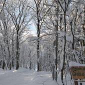 めぞん・ど・ささがわ（長野県 ペンション） / 4