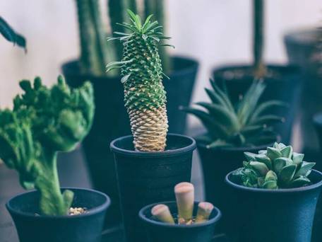 おがわ旅館 Ryokan Ogawa / 3