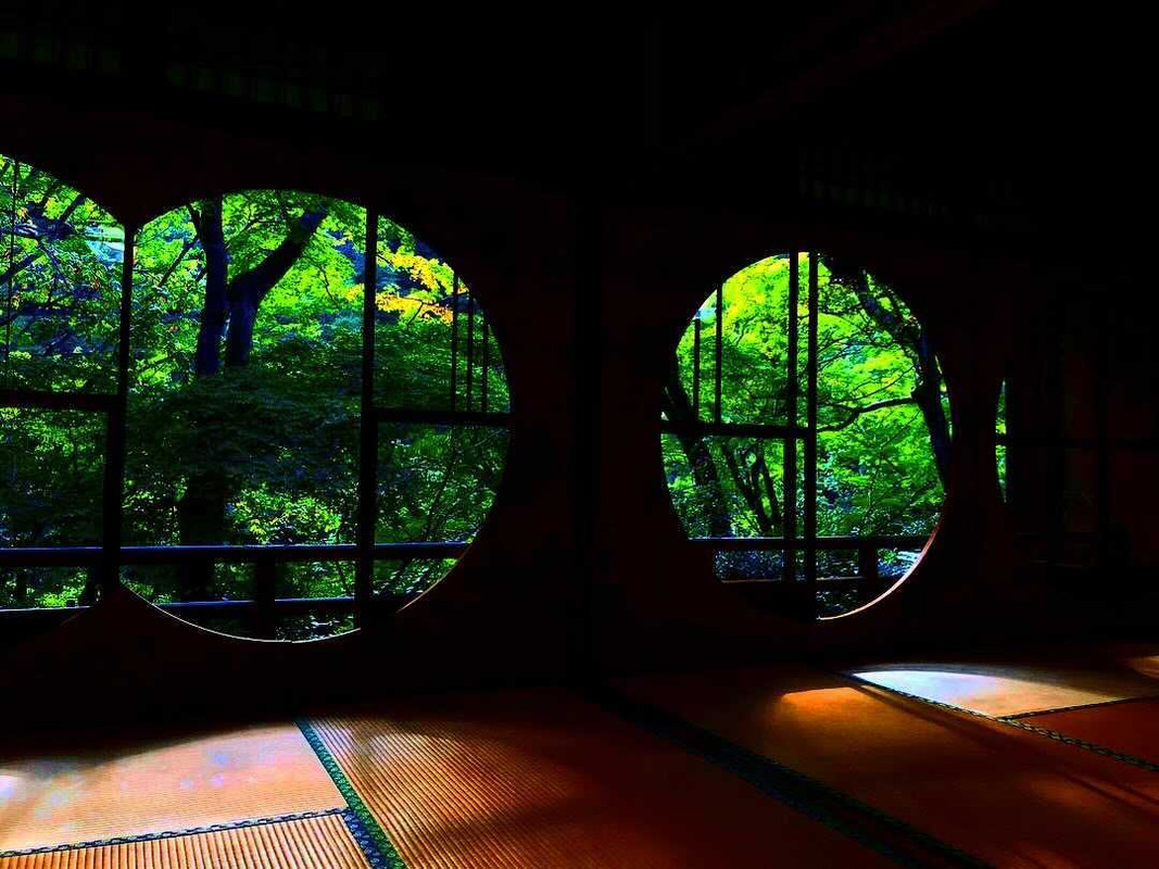 miho._.disneyさんの写真 / 4