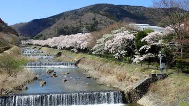 施設の敷地 / 18
