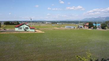 施設からの眺望 / 19