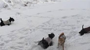 観光スポット / 8