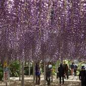 ホテル1-2-3 小倉（福岡県 ビジネスホテル） / 5