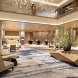 カーペットは日本庭園から着想 / 2