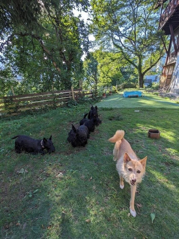 ペット用設備・サービス